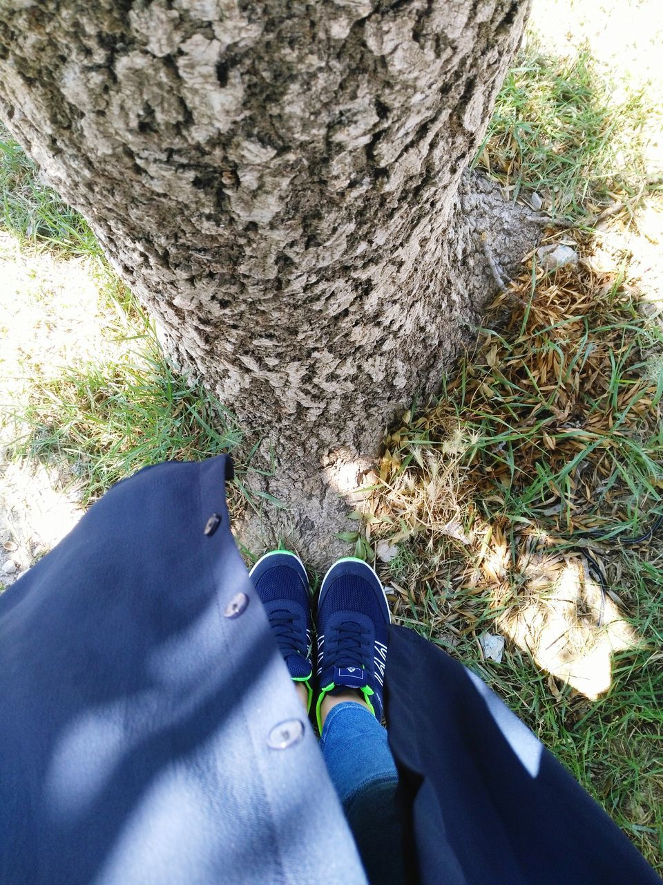 human leg, shoe, personal perspective, high angle view, low section, human body part, real people, day, tree trunk, standing, nature, grass, outdoors, one person, growth, tree, close-up, people