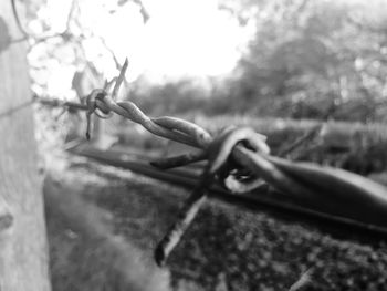 Close-up of barbed wire against sky