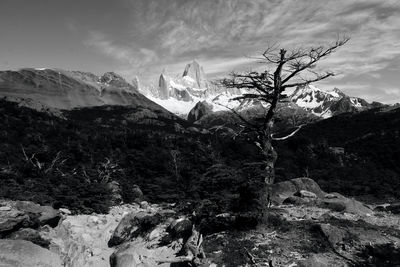Scenic view of snowcapped mount fitz roy against sky