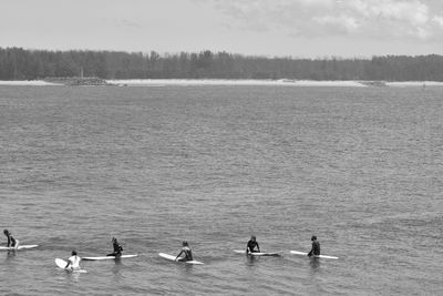 Surfers surfing on sea at beach