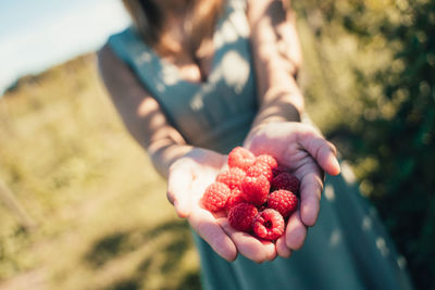 Midsection of person holding strawberry