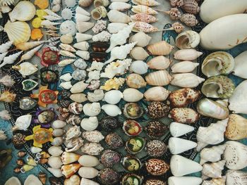 High angle view of shells for sale at market