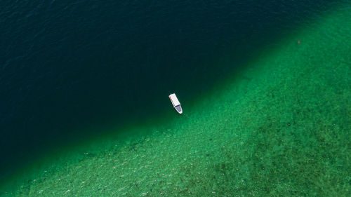 High angle view of person swimming in sea