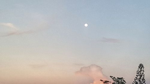 Low angle view of moon in sky