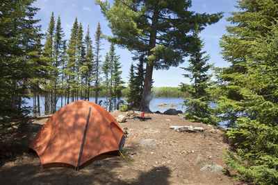 Tent in forest