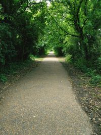 Road passing through trees