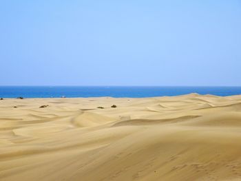 Scenic view of beach against clear sky