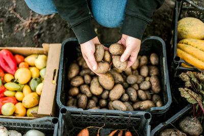 Midsection of woman holding potatoes