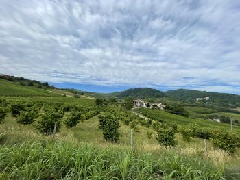 Scenic view of landscape against sky