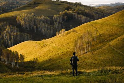 Rear view of man walking on landscape