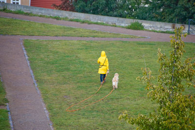 Rear view of person with dog standing on field at public park