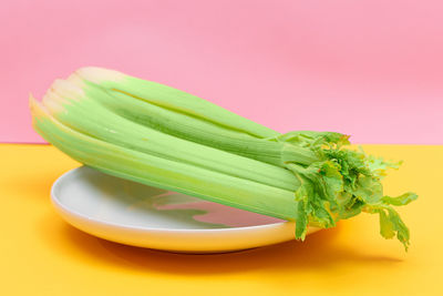 Close-up of green leaf on table