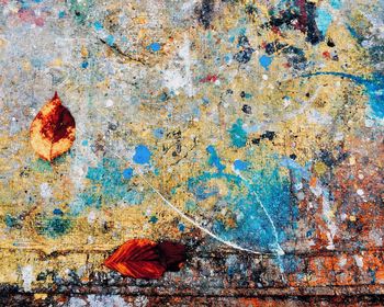 Full frame shot of autumn leaves
