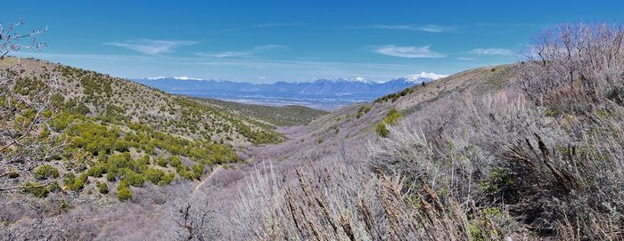 Hiking trails in oquirrh, wasatch, rocky mountains utah yellow fork and rose canyon salt lake city.