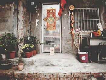 Potted plants on wall of old building