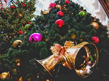 Close-up of christmas tree