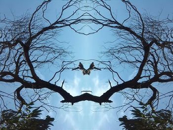 Low angle view of bare trees against sky