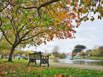 Bench in park by lake during autumn