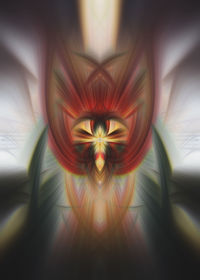 Digital composite image of illuminated red flower