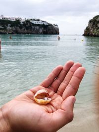 Cropped hand holding animal shell at beach