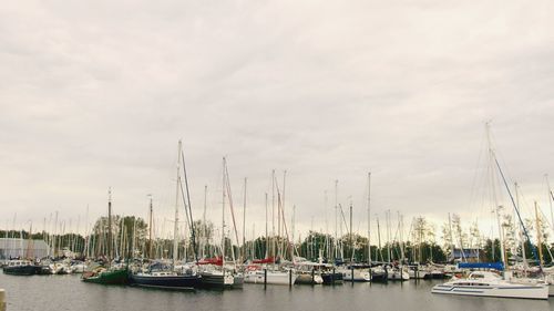 Sailboats moored at harbor against sky