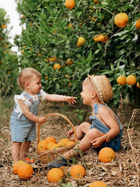 Brother and sister in a orange orchard .summertime between orange trees