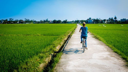 Rear view of woman riding bicycle on footpath amidst farm