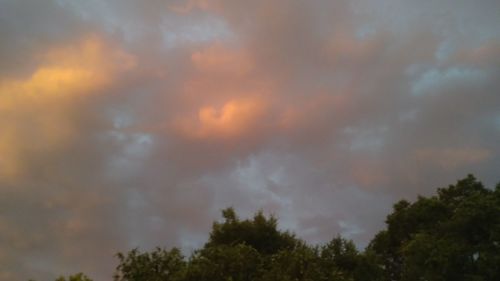 Low angle view of trees against storm clouds