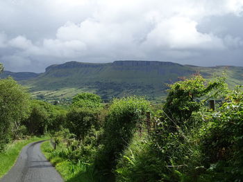 Road passing through agricultural field