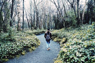 Full length rear view of woman in forest