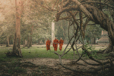 View of a tree on field