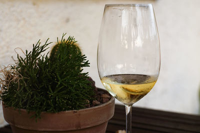 Close-up of beer in glass on table