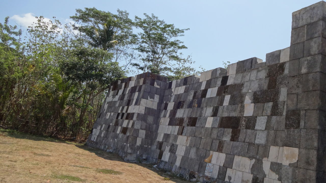 sky, plant, nature, architecture, built structure, tree, day, no people, outdoors, building exterior, clear sky, wall, low angle view, sunlight, building, travel destinations, city, history, wall - building feature, modern