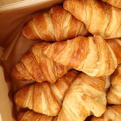 High angle view of fresh croissants