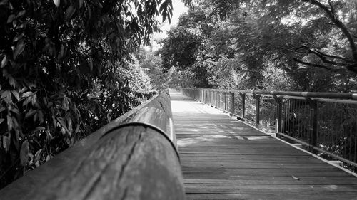 Narrow footpath amidst trees