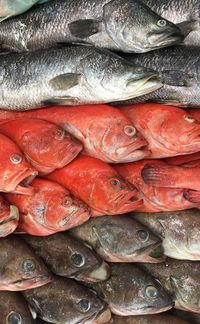 Full frame shot of fishes in market for sale