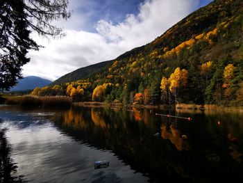 Scenic view of lake by trees against sky