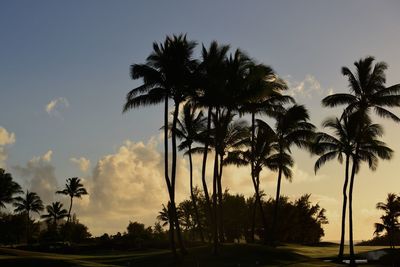 Silhouette palm trees against sky during sunset