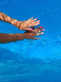 Jellyfish swimming in sea
