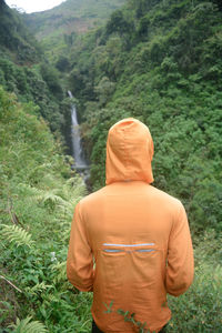 Rear view of man looking at camera