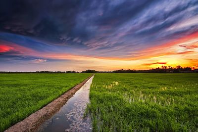 Scenic view of field against sky during sunset