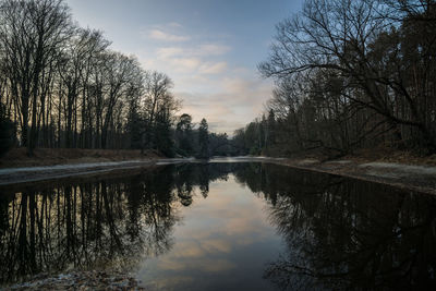 Reflection of trees in lake against sky