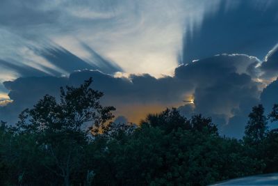 Low angle view of trees against sky during sunset