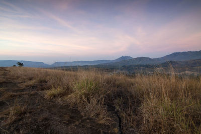 Scenic view of field against sky during sunset