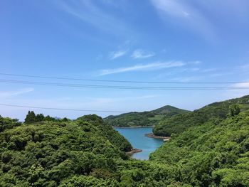 Scenic view of river amidst trees against sky