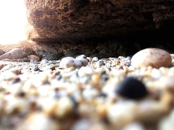 Close-up of pebbles on beach