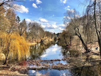 Reflection of bare trees in lake against sky