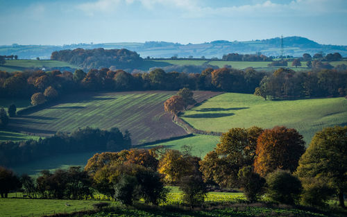 Scenic view of agricultural field against sky