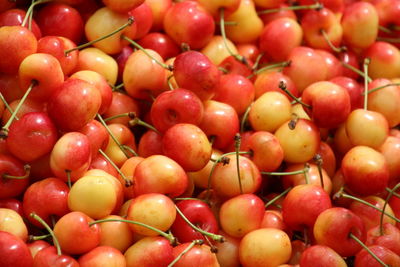 Full frame shot of fruits for sale