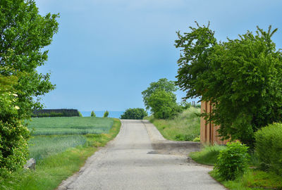 Empty road amidst trees on field against sky